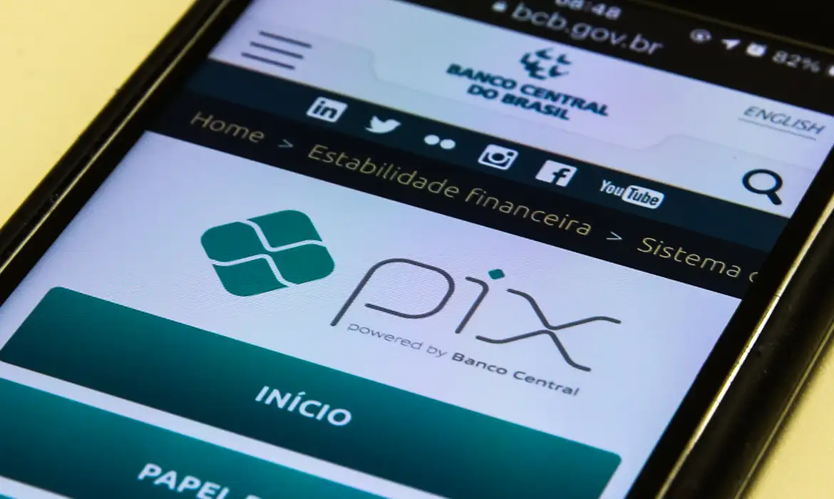 Tela de celular mostra a página do Pix no site do Banco Central.